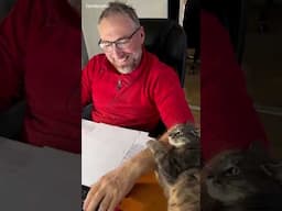 When you have a very clingy cat #cat #shorts #funnyvideo #pets