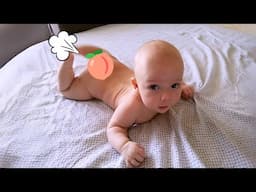Ultimate Moments Of Funny Baby Compilation – Try Not To Laugh