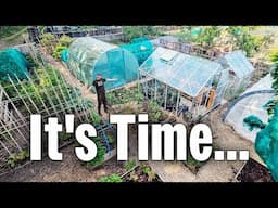 BIG Plant Out And Progress In May | Allotment Gardening UK