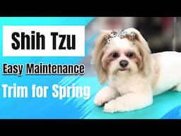 2 Shih Tzu's: EASY Maintenance TRIMS for SPRING! Step by step.