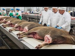 Crazy Process 🔴 How The Most Expensive Ham On Earth Is Made - Food Processing