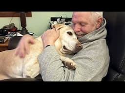Dads Who Became Besties With the Dogs They Never Wanted 🤣