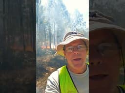 A day at work