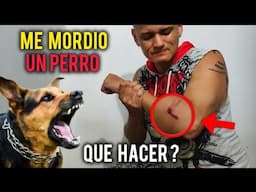 Me MORDIO un PERRO grabando en PALMIRA 😞 Como defenderse y que tomar para la Infección