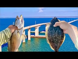 INSHORE FISHING 101 ** How to Catch LIMITS of Fish **