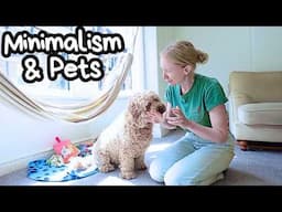 MINIMALIST HOME WITH PETS 🐾 MINIMALISM & PETCARE 🐾 MINIMALIST LIFESTYLE | MINIMALIST TIPS 🐕