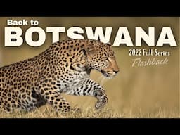 Back to BOTSWANA! Flashback to Khwai, Okavango & CKGR