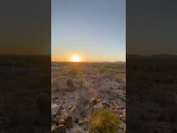 Would you shoot here?