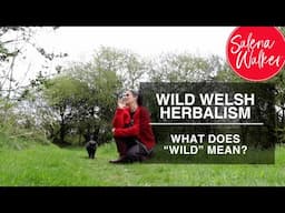 What Does “Wild” Mean in Wild Welsh Herbalism?