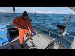 Our ⚓️Anchor⚓️ Got STUCK! | Hitting Some SNAGS!