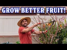 How I Prune ALL Of My Fruit Trees For MAX Flavor