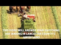 AMISH HAY MAKING...Everything You Wanted to Know About Making Hay in Lancaster County's Amish Land