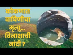 कोकणातल्या देवकोंडीत वाघिणीचा मृत्यू  | देवीचा कौल की कोप ??