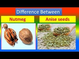 Differences Between Medical And Health Benefits Of Nutmeg and  Anise seeds