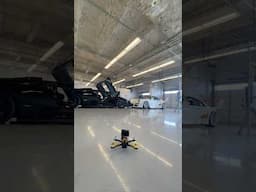 Happy drone gets to play