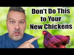 10 Beginner Chicken Mistakes