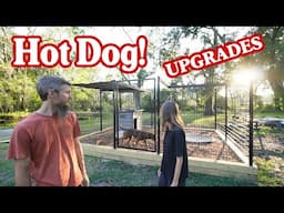 Dog Yard Upgrades (House and Shade) - Stray Dog Update