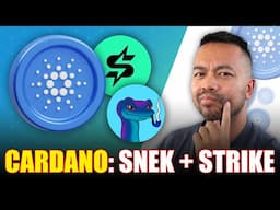 Two Projects Pushing Cardano to New Heights!