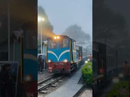 Darjeeling Toy Train: Misty Hills & Tea Gardens #darjeelingtoytrain  #TravelIndia #ToyTrainJourney