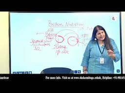 Brain Disorders Are Chemical Disorders | The Hermitage Rehab