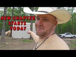 THEY ARE GONE HERE IS THE PLAN MOVING FORWARD |tiny house, homesteading, off-grid, cabin build, DIY