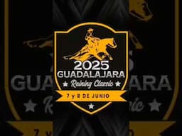 Una Experiencia más- Guadalajara Reining Classic- Maltada una yegua con un corazón enorme!
