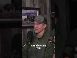 Would you shoot a Jake out its Roost Tree?