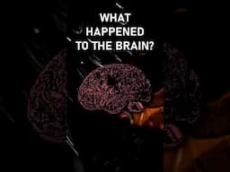 That ONE Mystery In Sly Cooper