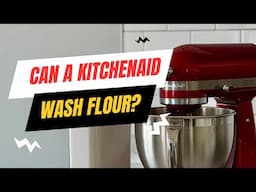 Can a KitchenAid Make Washed Flour Seitan?