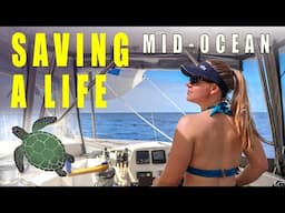 A Lucky Escape | Ocean Catamaran Sailing – Sailing Florence Ep.202