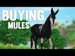Buying New MULES | Star Stable