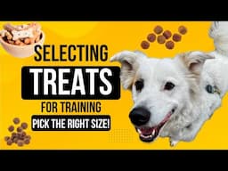 Tips for Using and Selecting Treats for Training