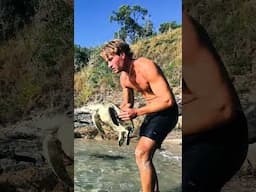 Sea Turtle Stuck In Fishing Line