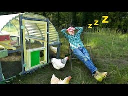 How to Be a Lazy Chicken Farmer