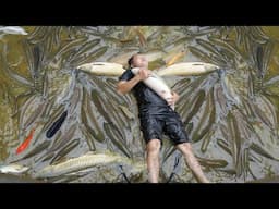 Catch all the Fish in the big Pond and move them to the small Pond - A new start after failure