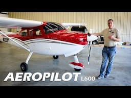 The New BEST Flight Trainer in the World! Aeropilot L600 Aircraft