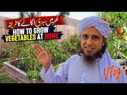 How To Grow Vegetables At Home - Mufti Tariq Masood Vlogs