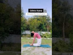 Yoga for Stress Relief #stressrelief #yogaforstressrelief #yogaforrelaxation #yogaforbeginners