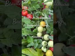 Gardening Enjoyment #Gardening #short #garden #gardeningideas