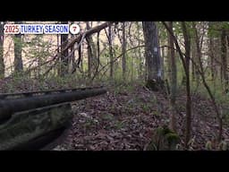 Steep, Narrow Ridge Gobbler