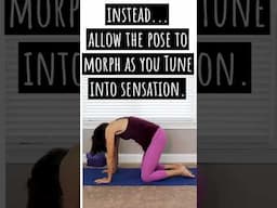 Have you felt like this in a yoga pose VS. Somatic Yoga - what is Somatic Yoga???