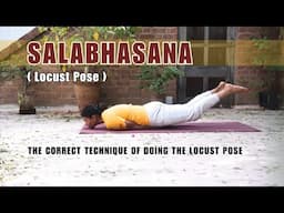 Strengthen Your Spine: Learn the Locust Pose or SALABHASANA