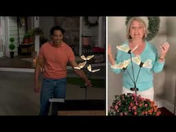 Home2Garden Solar Decorative Acrylic Butterfly Stake on QVC