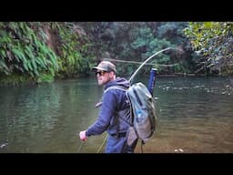 Possibly the Best Streamer Fishing You’ll Ever See