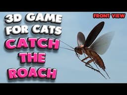3D game for cats | CATCH THE COCKROACH (top, front, isometric view) | 4K, 60 fps, stereo sound