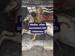 Archaic Insults