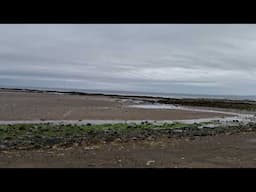 Early Morning Cuppa By The Beach