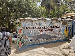 "Discover Kachikally Museum & Crocodile Pool: Sacred Crocodiles & Gambian History 🇬🇲🐊"