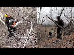 Clearing Land For Pasture! Farm Improvements Projects!