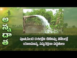 Present management in citrus at Flowering stage  | ETV Telugu